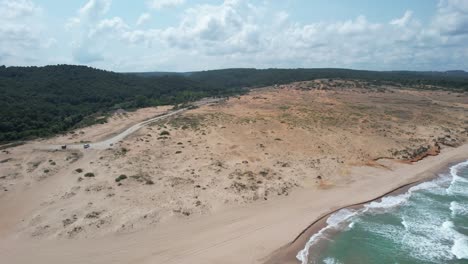 El-Bosque-Más-Allá-Del-Mar