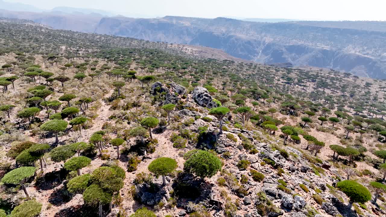 isla de socotra, yemen - volando sobre la meseta de diksam - avión no tripulado volando hacia adelante