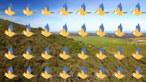 animation of birds icons moving over landscape