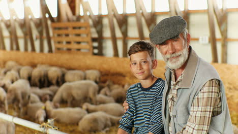 retrato de un anciano caucásico de pelo gris abrazando a su nieto y sonriendo a la cámara mientras se sientan juntos en un establo con un rebaño de ovejas