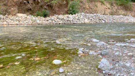 Crystal-clear-and-cold-water-flowing-by-one-of-Europes-cleanest-rivers,-Voidomatis