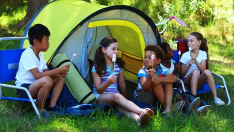 kids having marshmallows outside tent