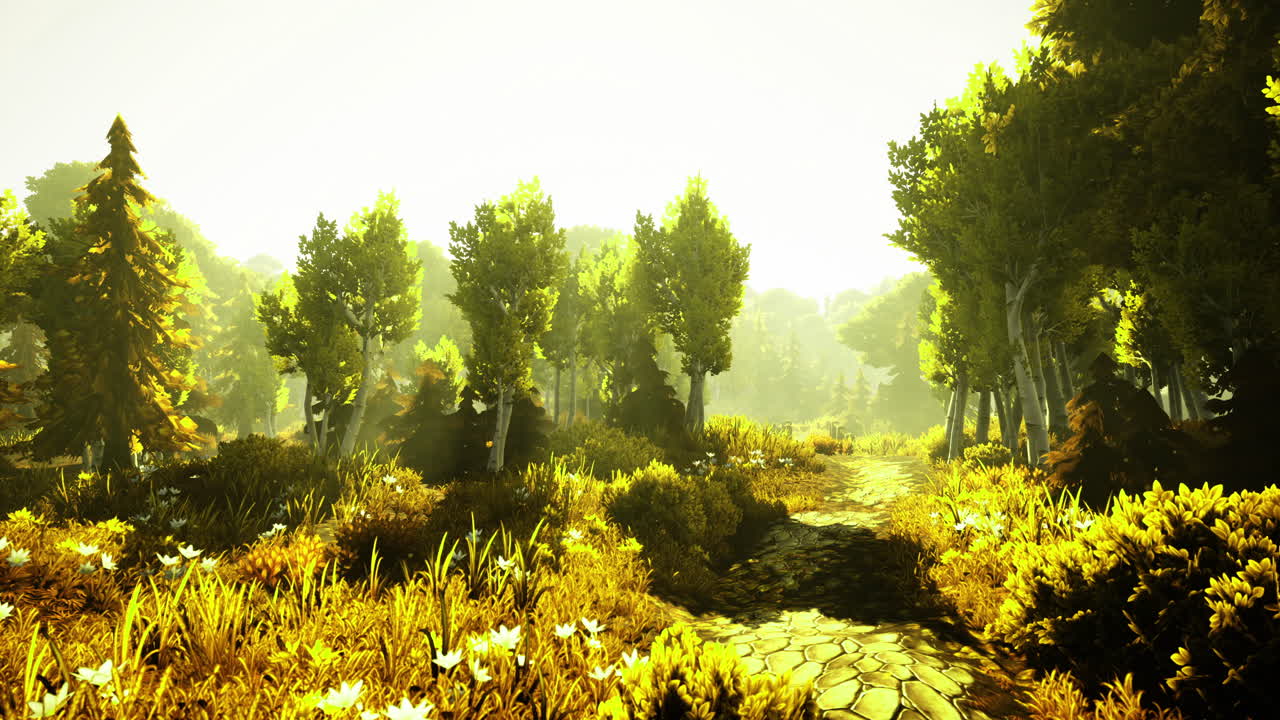 Bright sunlight illuminates a serene forest pathway surrounded by vibrant trees