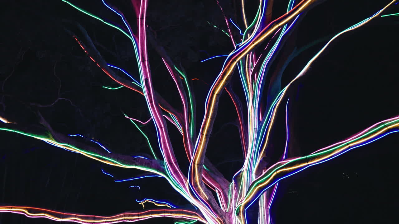 increíble pantalla de luz de neón colorido en un gran árbol en el jardín botánico de sydney durante vívido en cámara lenta