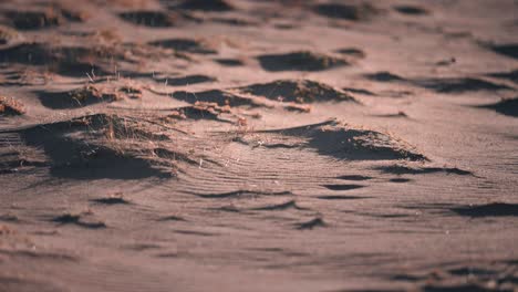 A-close-up-shot-of-sandy-dunes