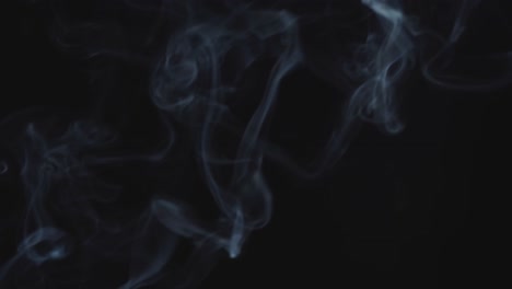 white steam ascends over the pan, white steam rises from a large pot that is behind the scenes, black background