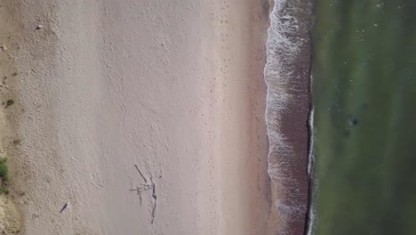 Aerial-birdseye-view-of-Baltic-sea-beach-at-Jurkalne-on-a-sunny-day,-white-sand-cliff-damaged-by-waves,-coastal-erosion,-climate-changes,-wide-angle-drone-dolly-shot-moving-left