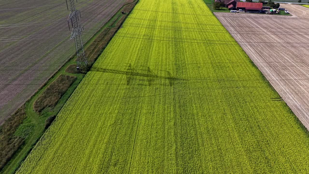 Shadow of power pole or Ironman on canola field during sunny summer day. Aerial view. Peaceful nature in America