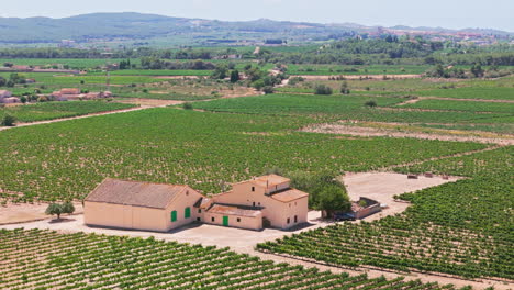 drone aerials: circling a picturesque farmhouse enveloped by vineyards under bright sunshine