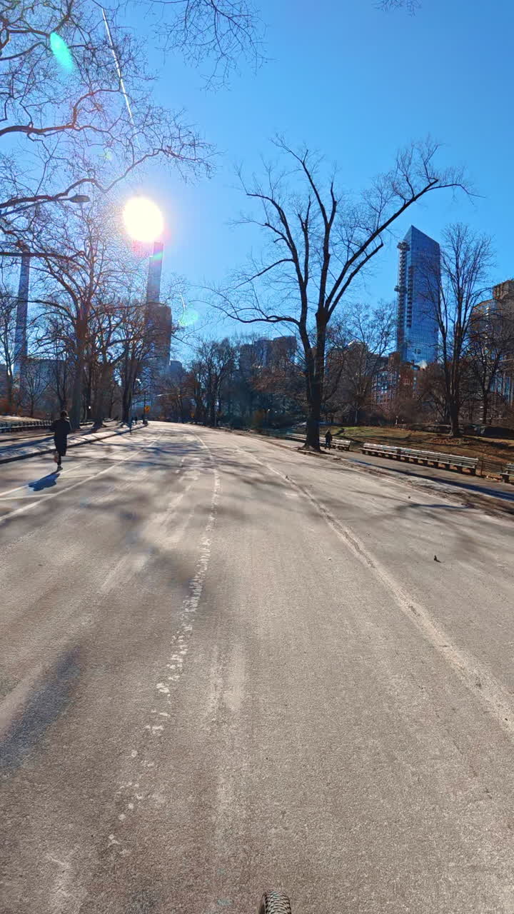New York, USA, 8 October 2024: Sunny day fun in Central Park. Visitors stroll along paths in Central Park, Manhattan, on a clear sunny day with bright blue skies