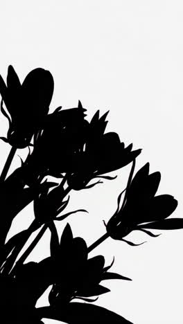 black silhouettes of flowers
