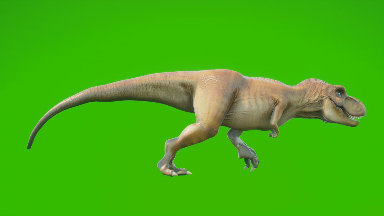화가 난 t-rex 공은 회전하는 원활한 애니메이션을 실행합니다. 녹색 화면 앞에 파충류. 역사, 자연 및 동물 배경에 대한 애니메이션.