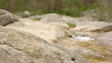 Concepto-De-Aventura---Persona-Saltando-Sobre-Rocas-Sobre-Un-Pequeño-Riachuelo-En-La-Ruta-De-Las-Siete-Piscinas---Cataluña-España