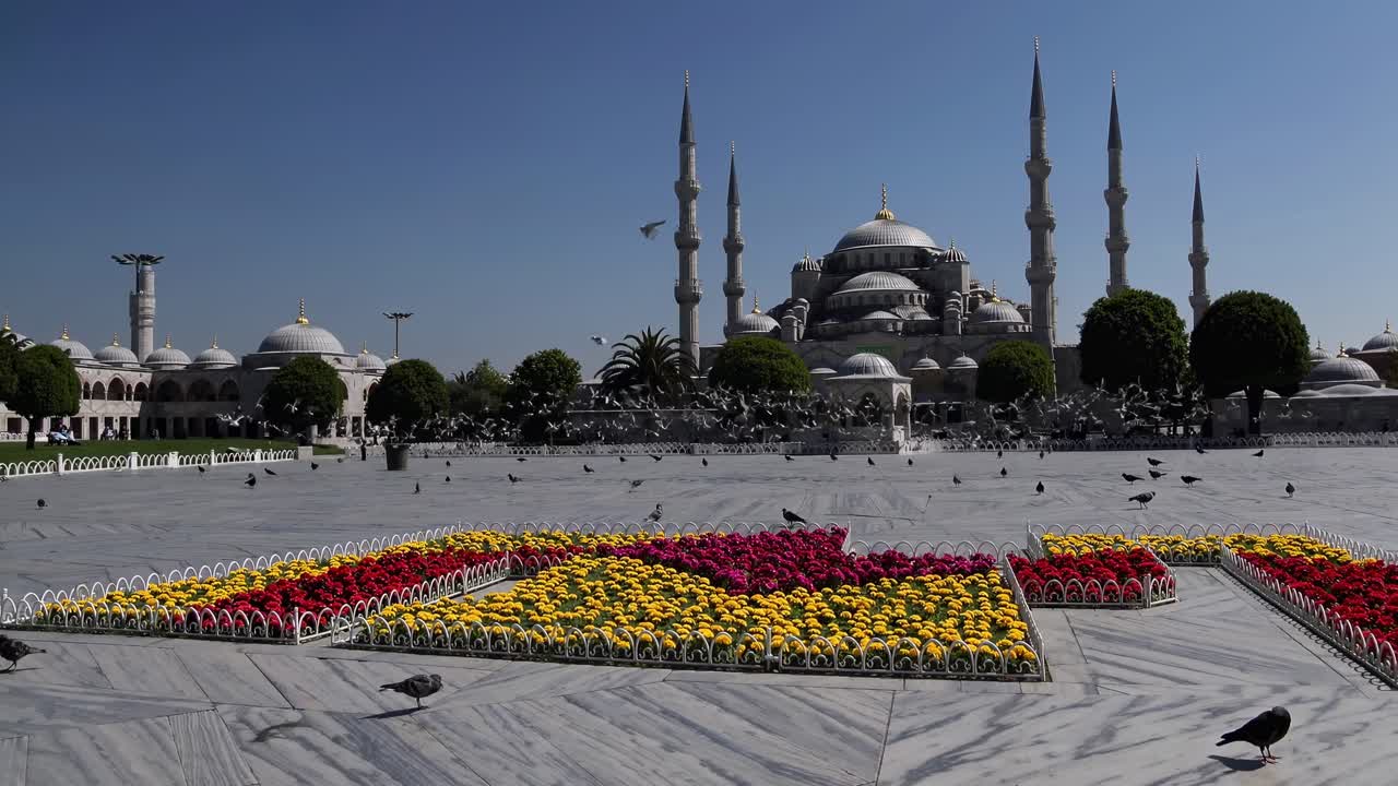 Pigeons are flying over colorful flowerbeds in Sultanahmet Square, with the majestic Blue Mosque dominating the background under a clear blue sky in Istanbul, Turkey