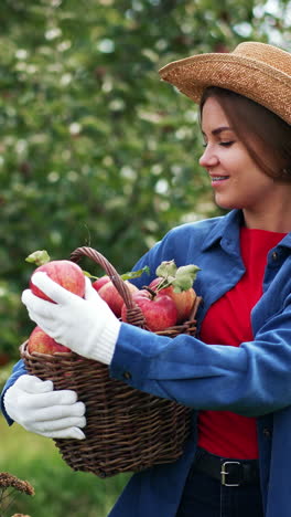 Satisfied female farmer is holding a full basket of ripe apples. Woman in straw hat is happy about the harvest, she looks at apple smiling and tosses it in the air. Vertical video