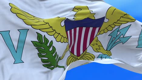 seamless loop of u.s. virgin islands flag.