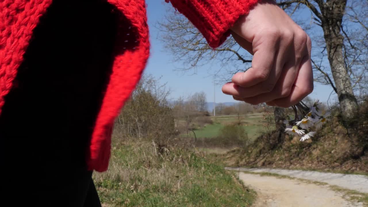 Close up of a girl's hand holding daisies flowers in her hand while walking in a country road.