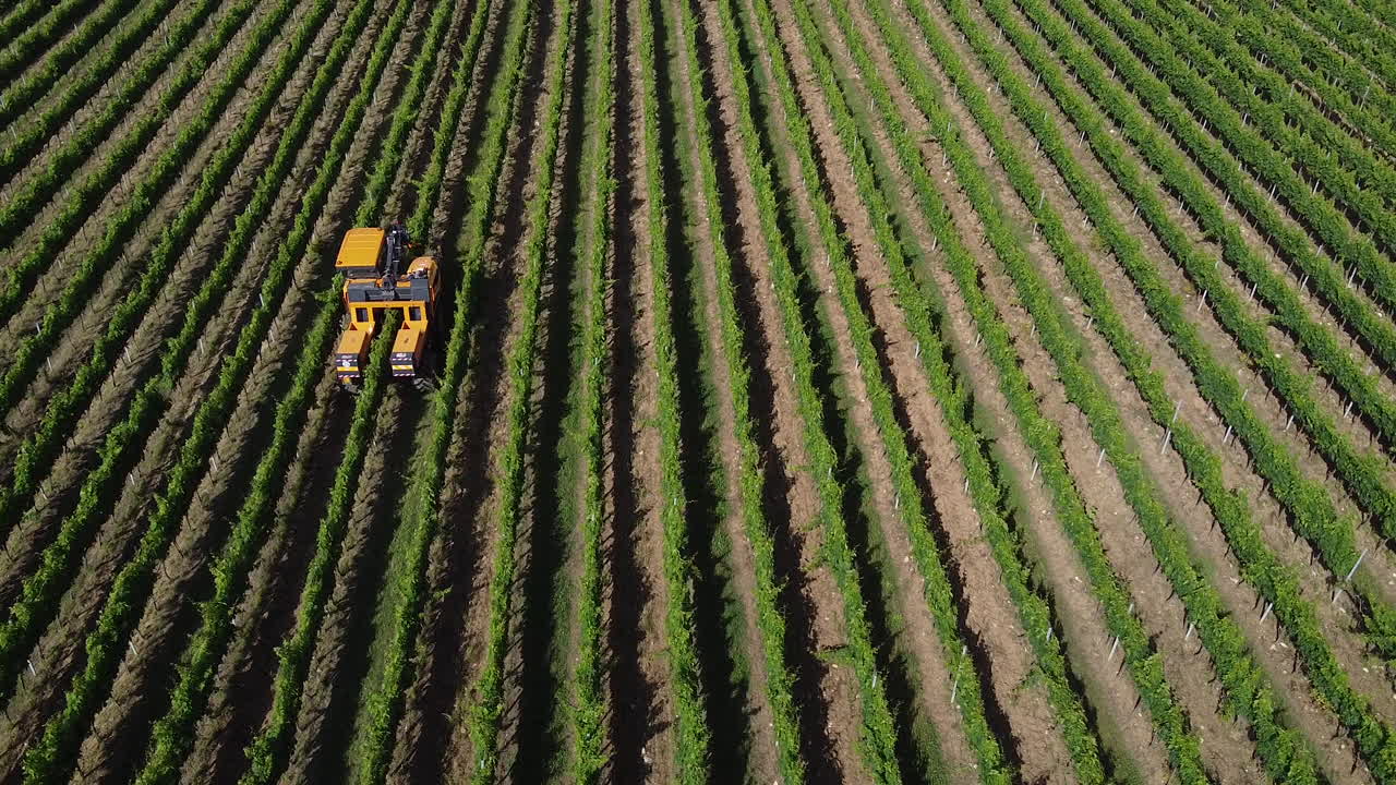 Un trattore multifunzione al lavoro nel vigneto sulle colline toscane, Italia - Riprese aeree con drone