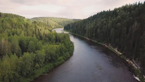 river winding through lush forest