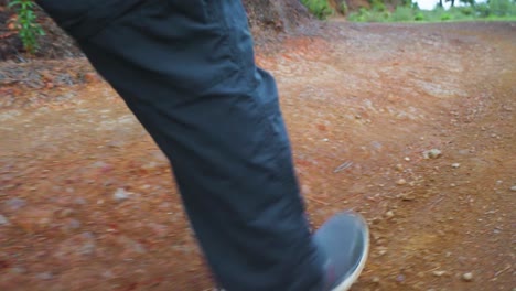 men's feet and legs walking on the forest