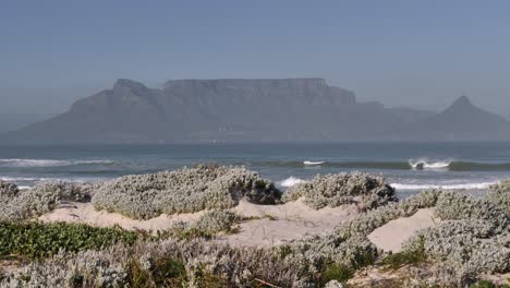 sand beach shrubs pan with cape town, lion's head, and table mountain