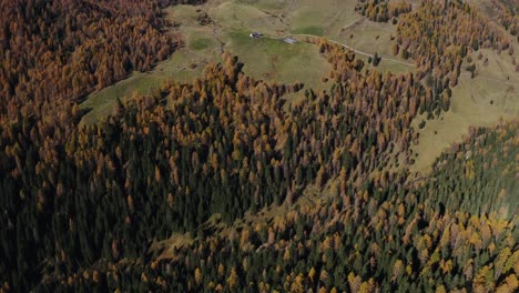 Cordillera-Lagorai-Cubierta-De-Nieve,-Vista-Desde-El-Bosque-En-Otoño,-Trentino,-Italia