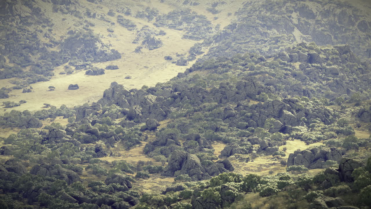 Nature landscape featuring rocky hills and green foliage in bright daylight