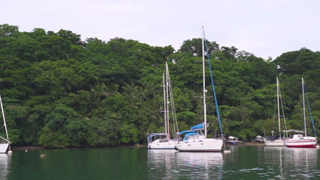 wide shot of parked private yachts in a private island