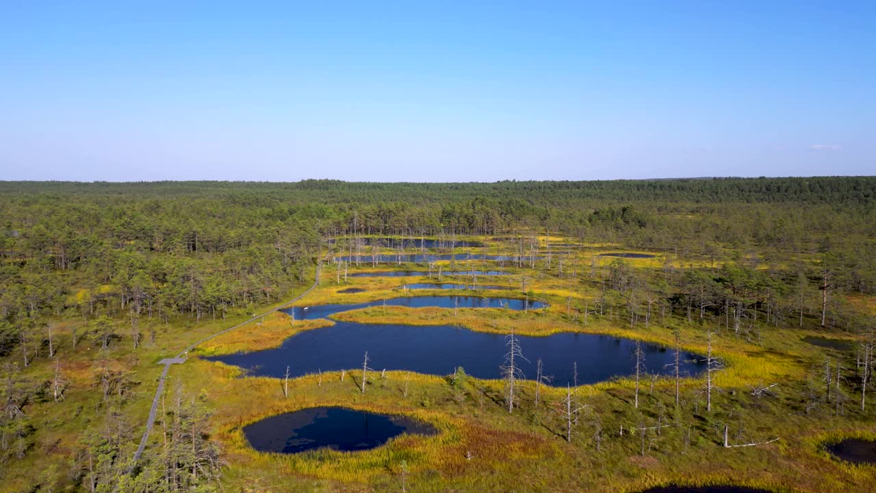 Aerial View of a Picturesque Bog Landscape