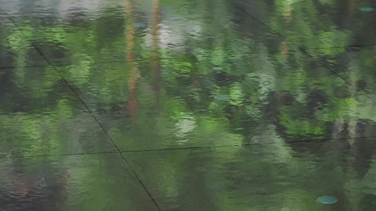 Greenery Reflections on Wet Surface After Rain