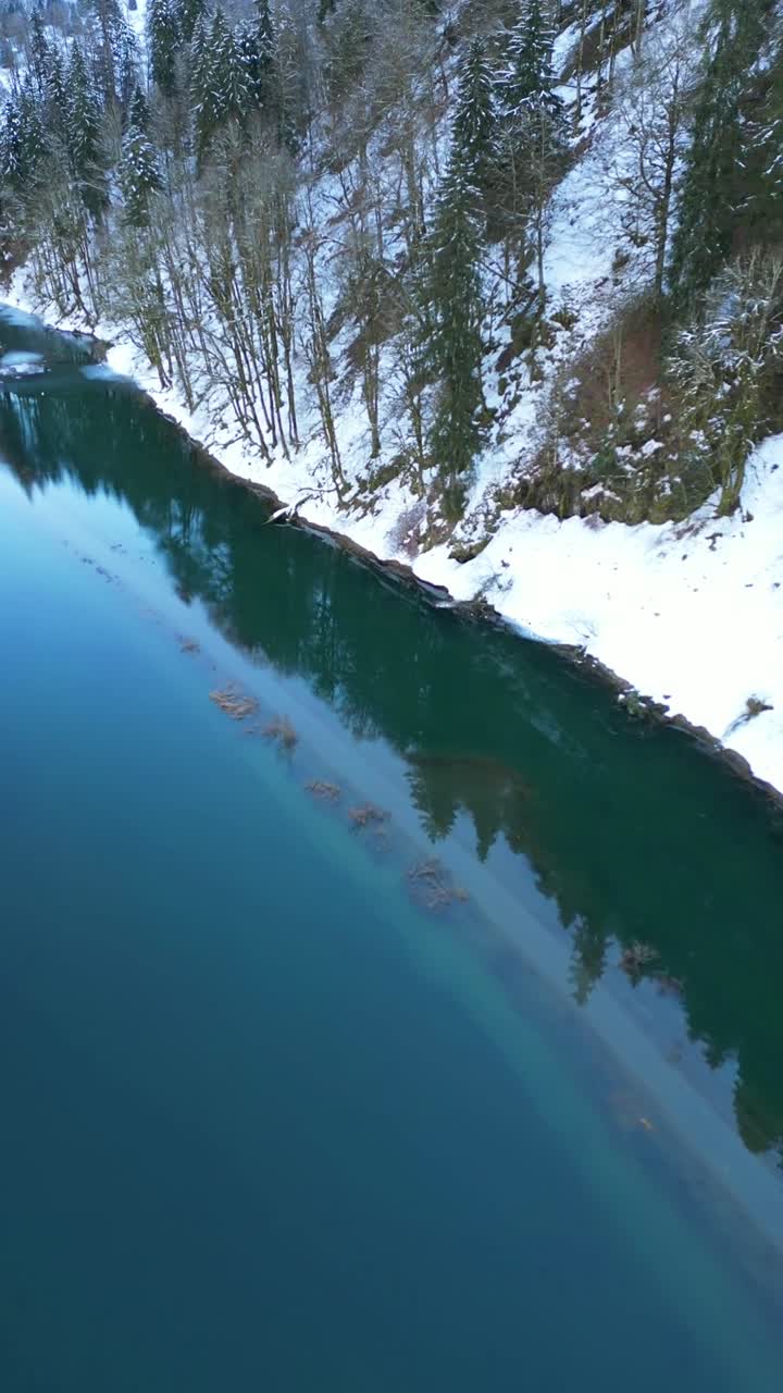 Vista aerea di un fiume di un verde intenso e vibrante che scorre attraverso un paesaggio invernale di foresta di pini innevata.