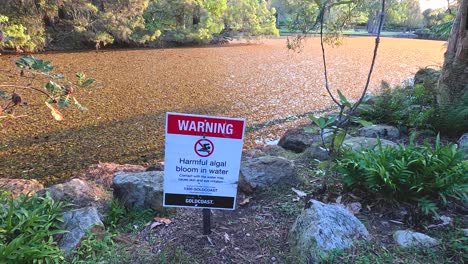 sign warns of harmful algae in pond