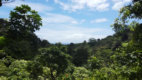 Breathtaking-Scenery-on-Tropical-Hawaiian-Island-of-Maui---Establishing-Aerial