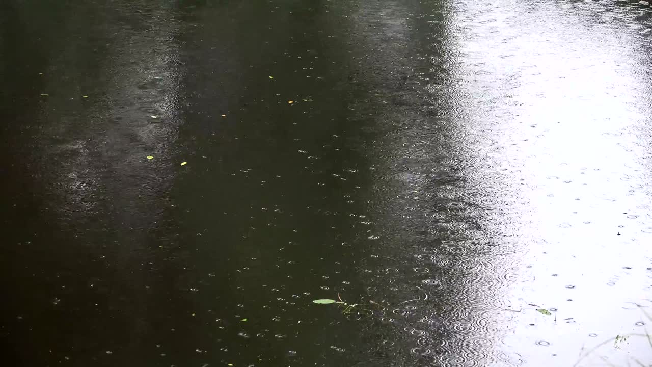 Heavy rain drops fall and splash on water pool. Closeup shot. 4K