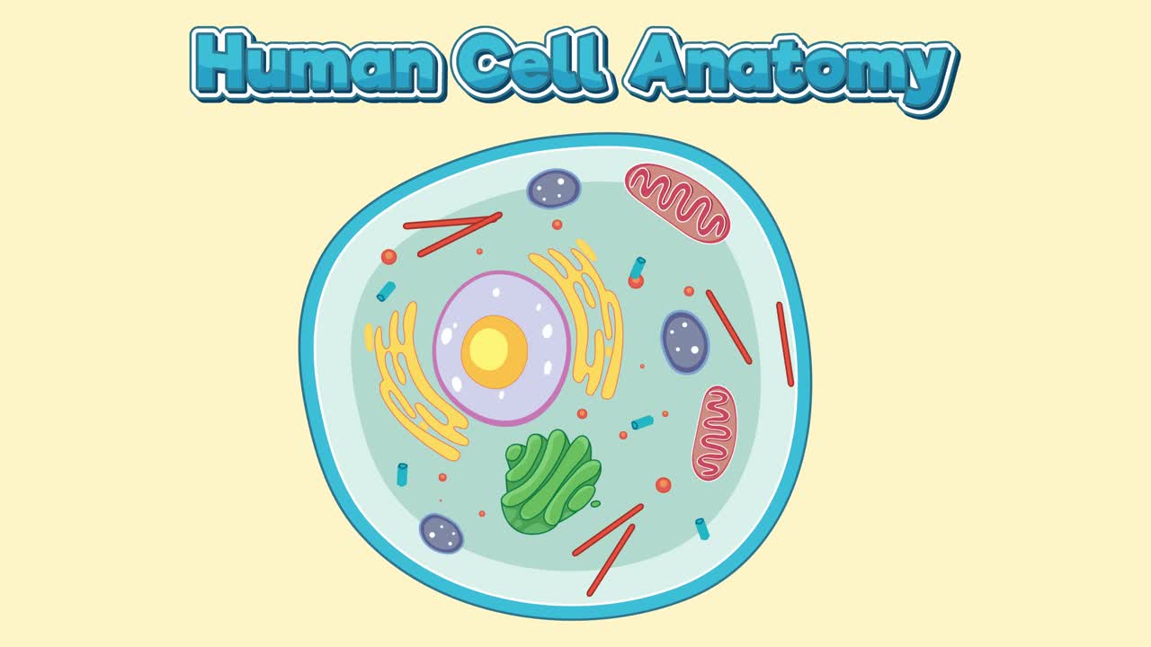 세포의 구성 요소를 통해 애니메이션 여행