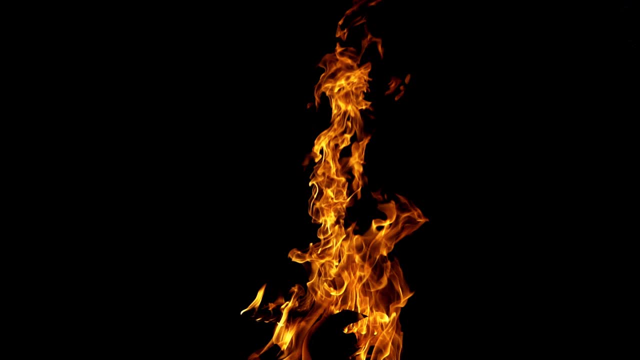 Bonfire burning at night. Flames of fire on black background in slow motion.