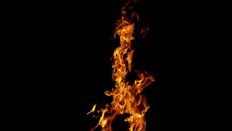 bonfire burning at night. flames of fire on black background in slow motion.