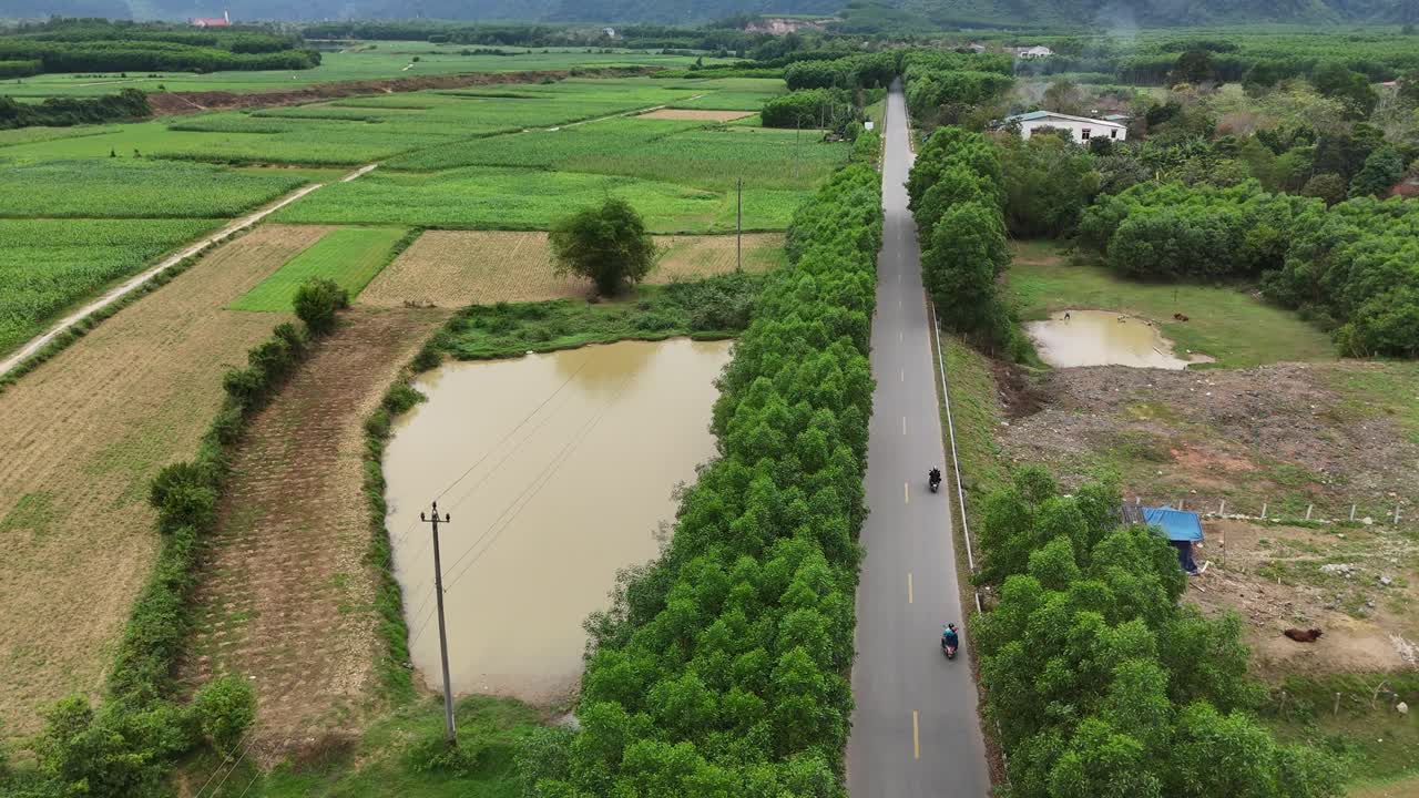 나무로 뒤인 거대한 절벽 사이에 있는 산의 협곡에서 놀라운 통로