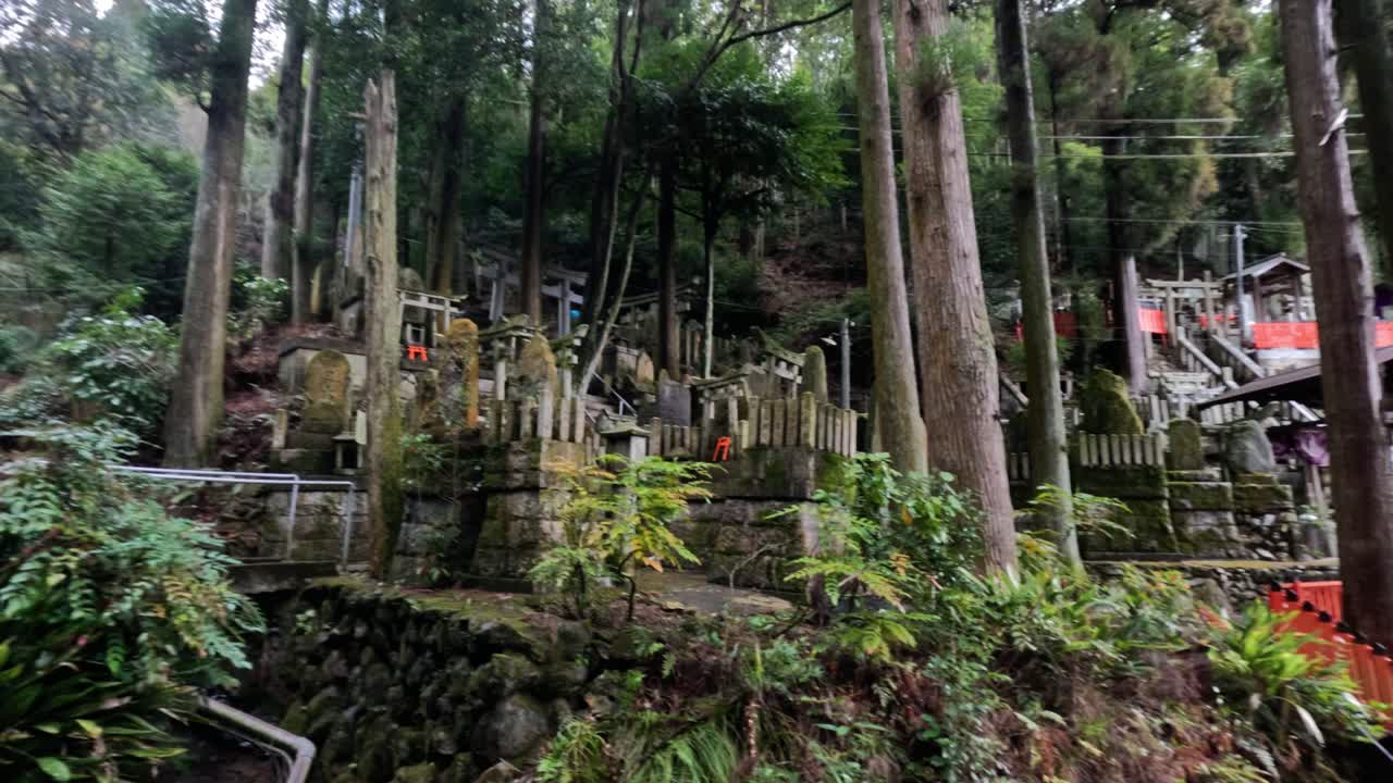 조용한 사원 숲을 가로질러 평화로운 산책