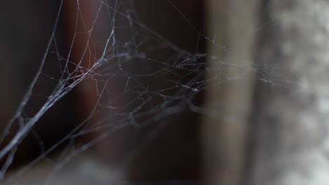 LOCKED-OFF-MACRO-view-of-cobweb-billowing-indoors