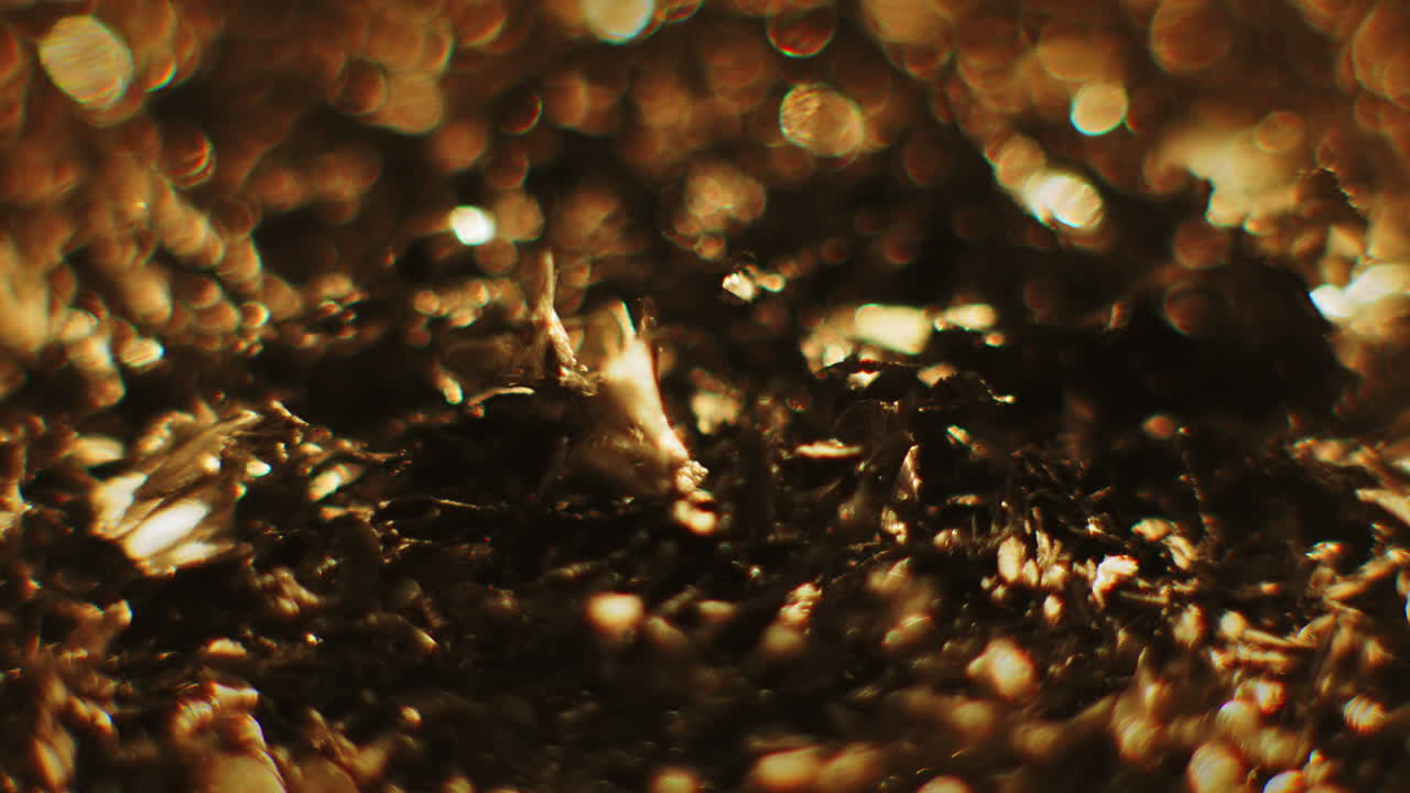 Golden color metal erratic movement