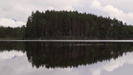 small bay in a lake, filled with trees during a cloudy day in summer