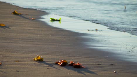 the ocean waves on the sand