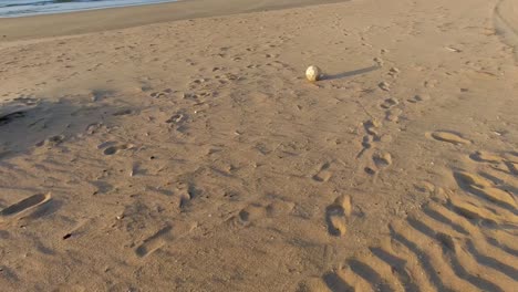 Ein-Alter,-Schmuddeliger-Fußball,-Der-über-Den-Strandsand-Rollt,-Mit-Reifenabdrücken-Im-Sand-Und-Dem-Strand-Im-Hintergrund