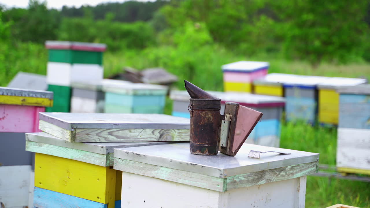 Bee chimney smokes white smoke. Beekeeping tool on many beehives background. Beekeeper works at the apiary. Beekeeping concept.