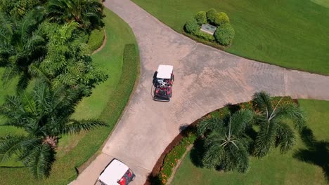 toma aérea de arriba hacia abajo siguiendo dos carros de golf en el camino entre el campo de golf verde