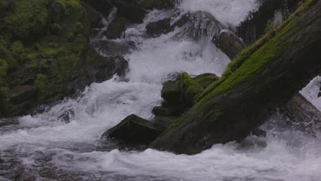 hermosa cascada en el sur de oregón cascadas enmarcadas por musgo verde y vegetación, cascadas de arroyo nacional