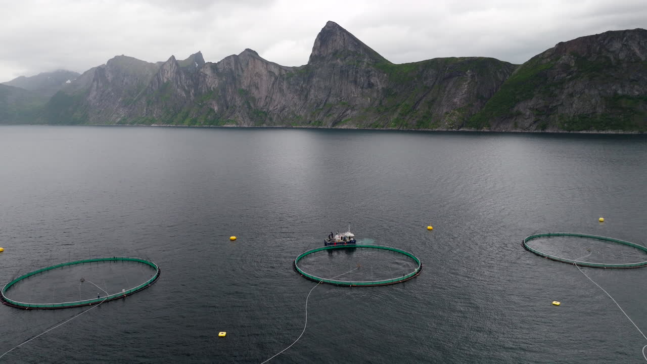 Mefjord salmon fish farm in Senja Norway with dramatic mountain in back. Aerial