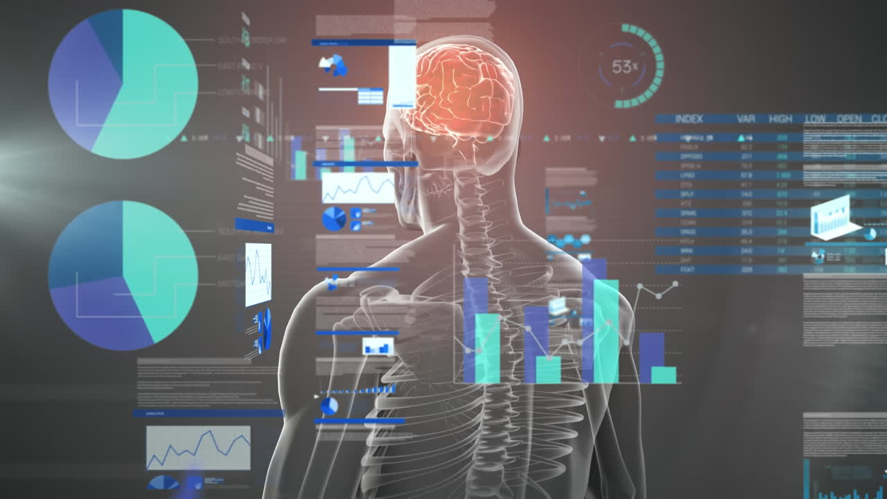 Animation of data processing over spinning brain and man on gray background
