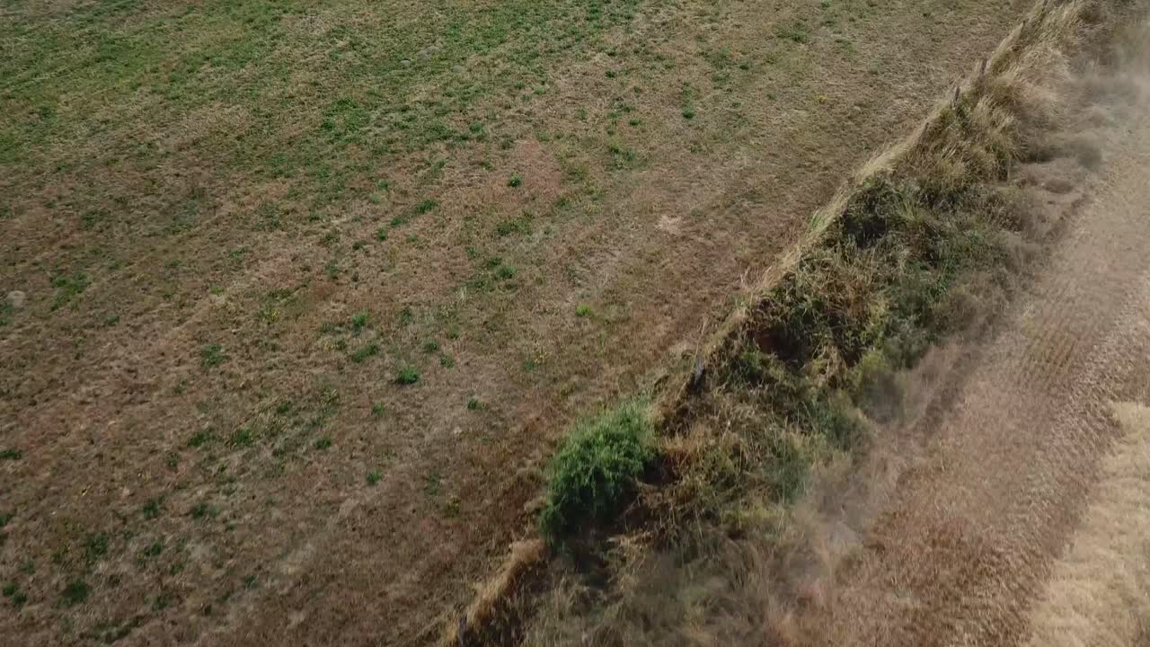 una toma cinematográfica de un dron 4k de una cosechadora cosechando un campo de maíz en francia, mostrando la agricultura con una vista épica y un polvo dramático
